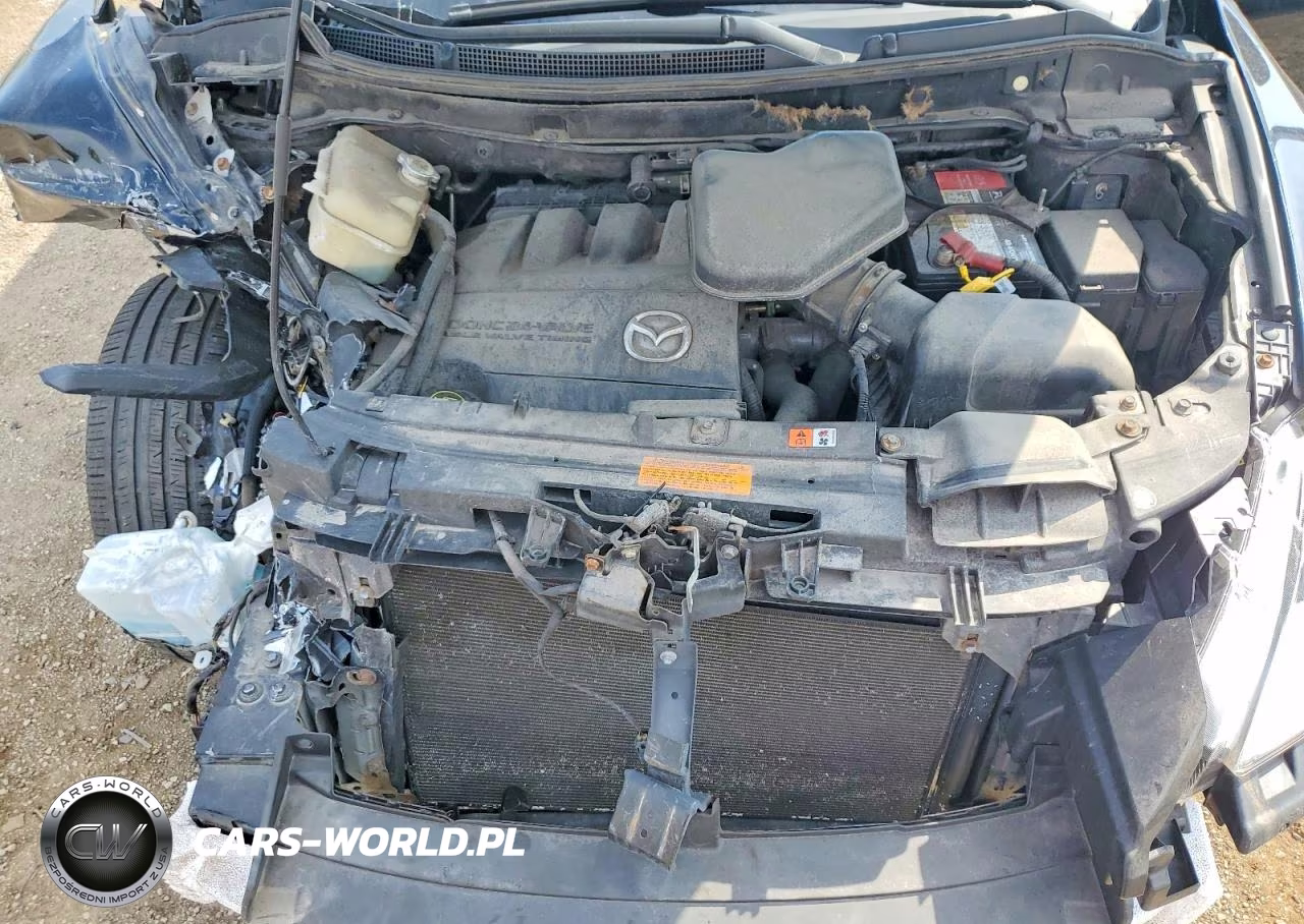 2011 Mazda Cx-9 VIN:JM3TB3DA9B0300061 - 12