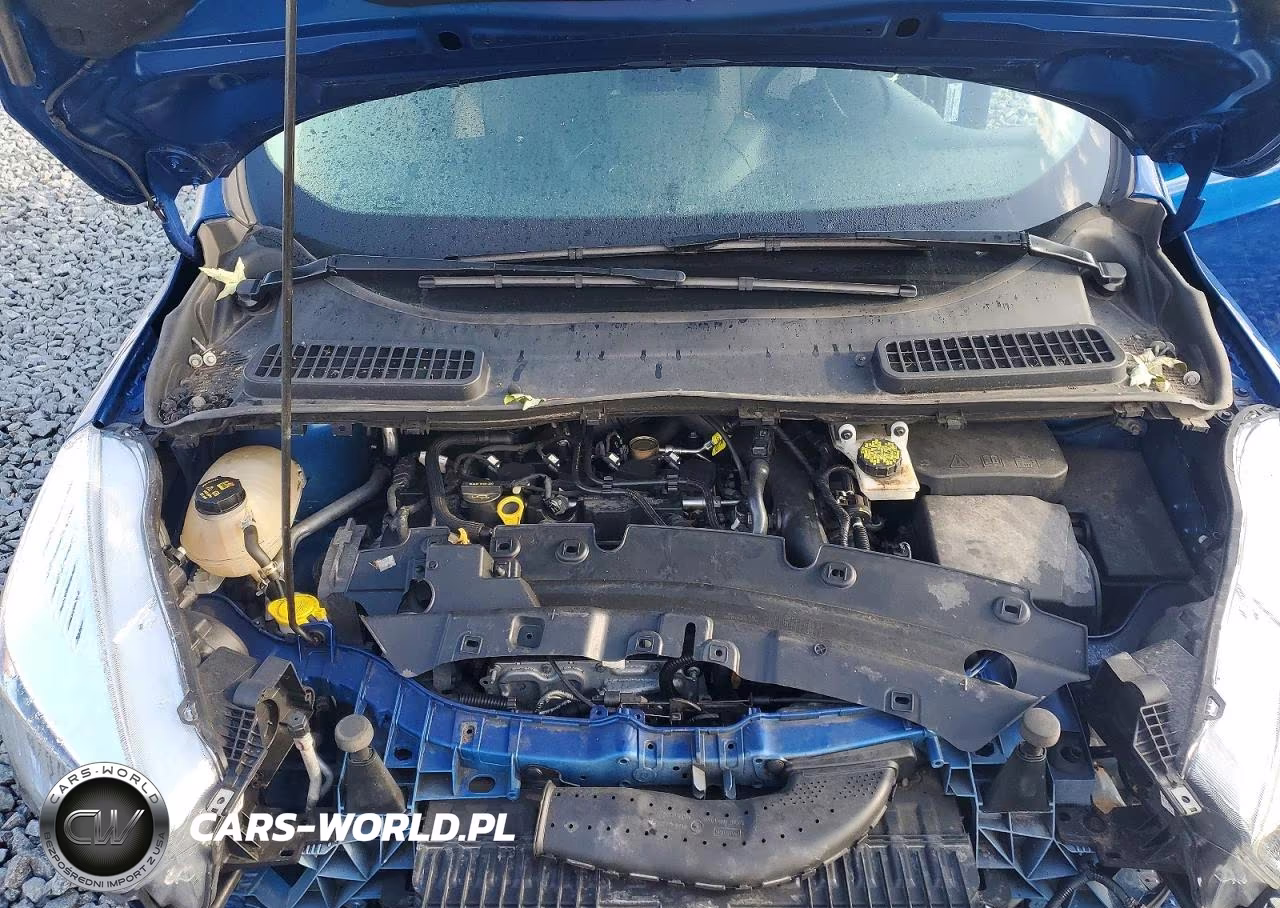 2019 Ford Escape Se VIN:1FMCU9GD4KUA03487 - 12