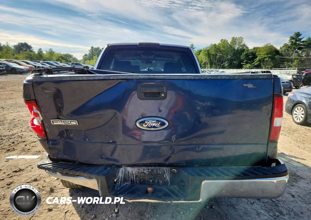 2004 Ford F150 VIN:1FTPX14594NA94474 - 6