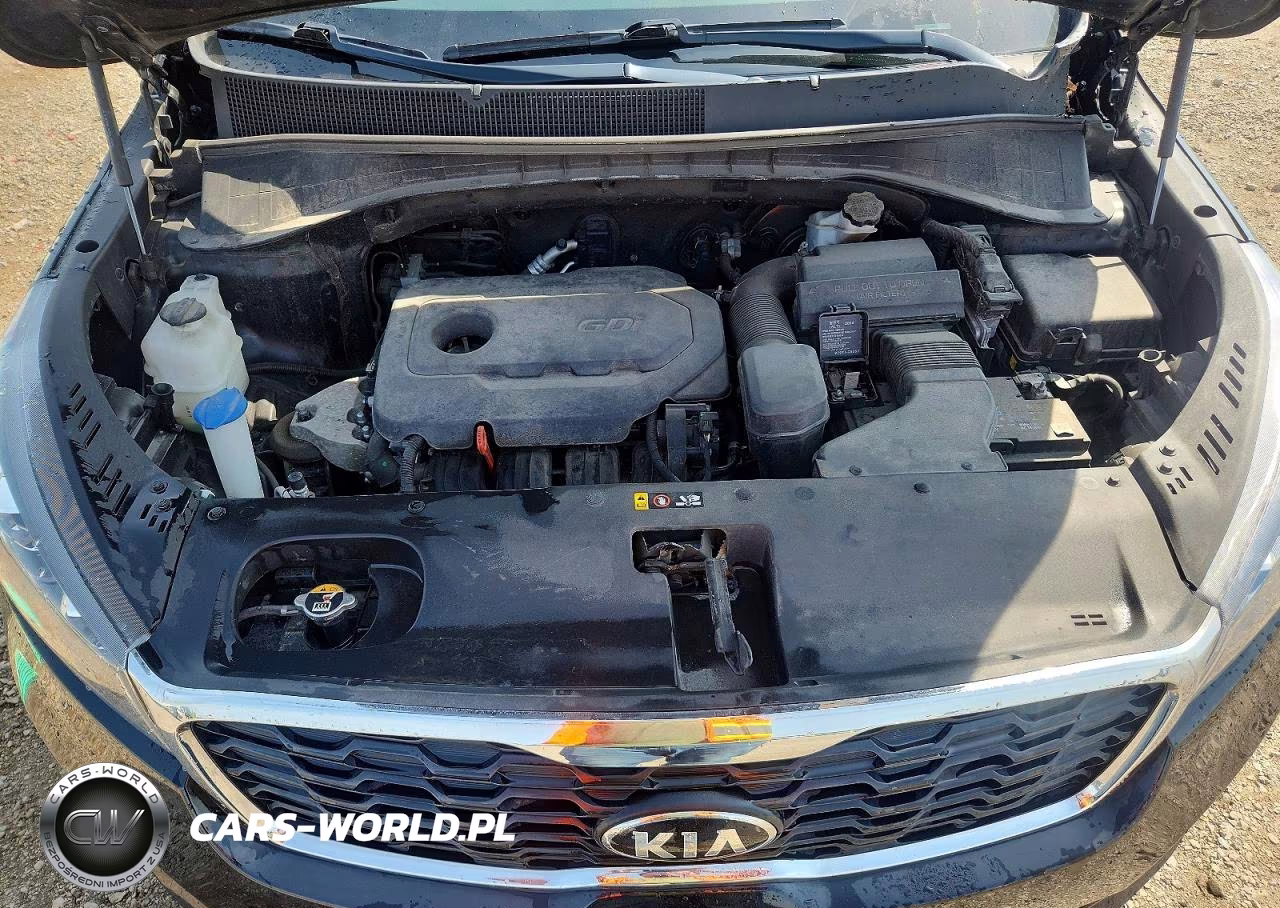 2019 Kia Sorento Lx VIN:5XYPGDA36KG591359 - 12