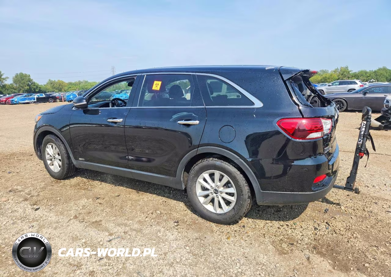 2019 Kia Sorento Lx VIN:5XYPGDA36KG591359 - 2