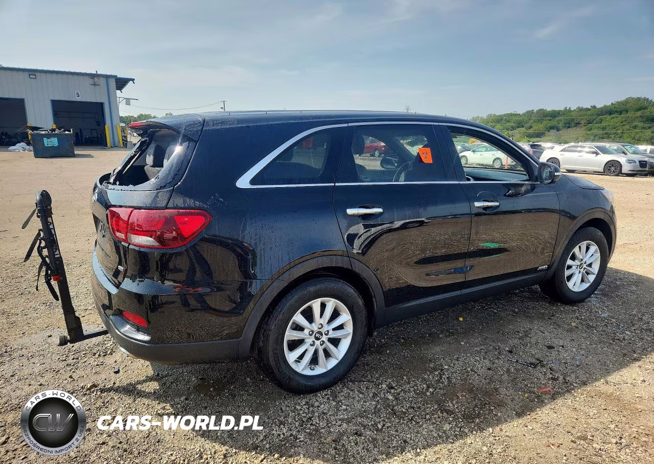 2019 Kia Sorento Lx VIN:5XYPGDA36KG591359 - 3