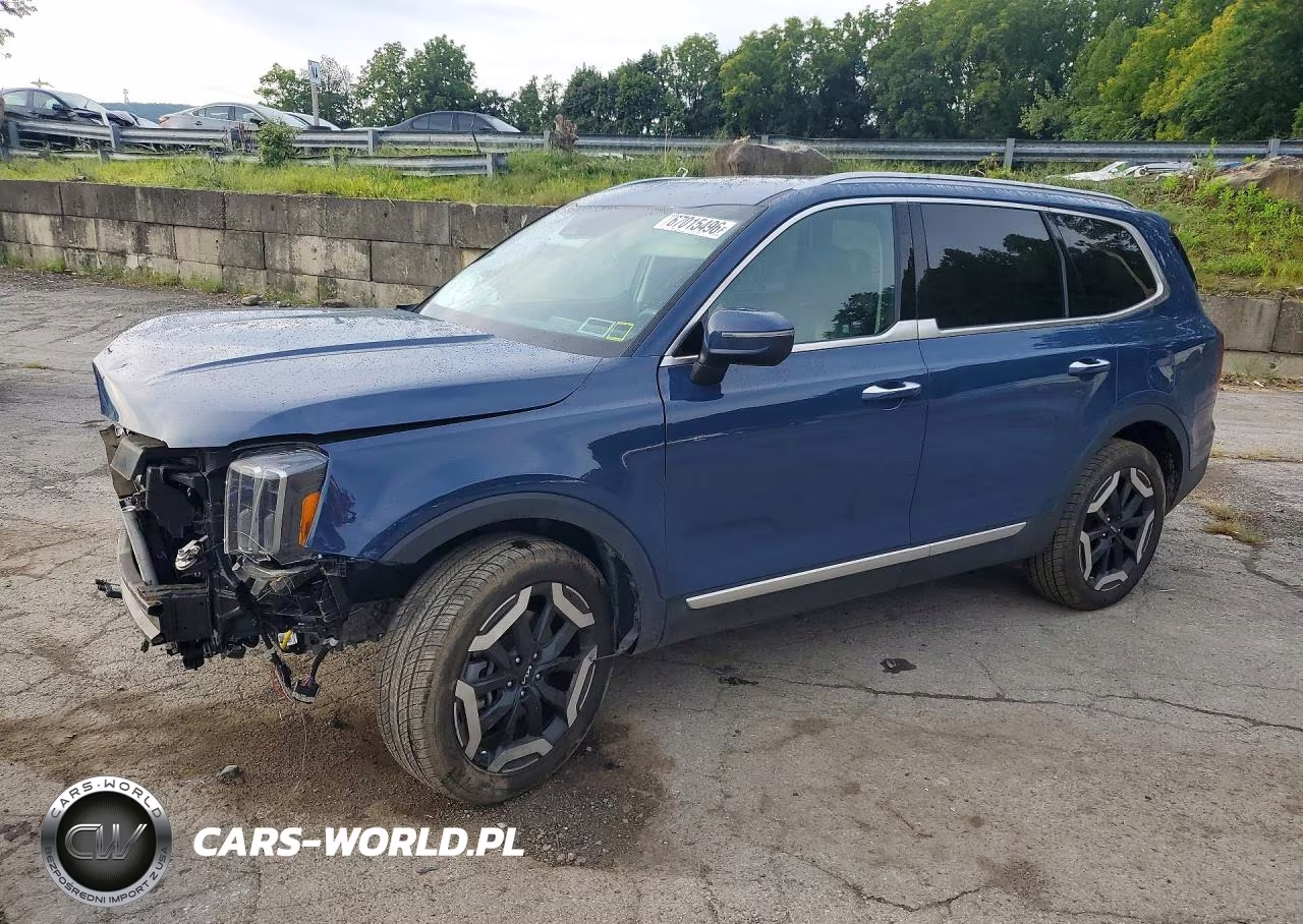 2024 Kia Telluride S VIN:5XYP6DGC5RG474280 - 1