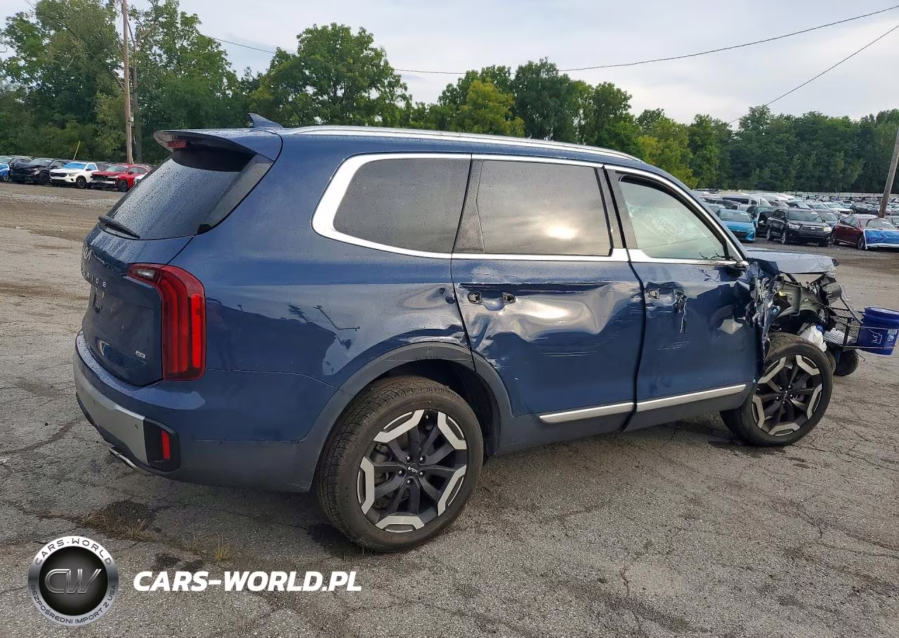 2024 Kia Telluride S VIN:5XYP6DGC5RG474280 - 3