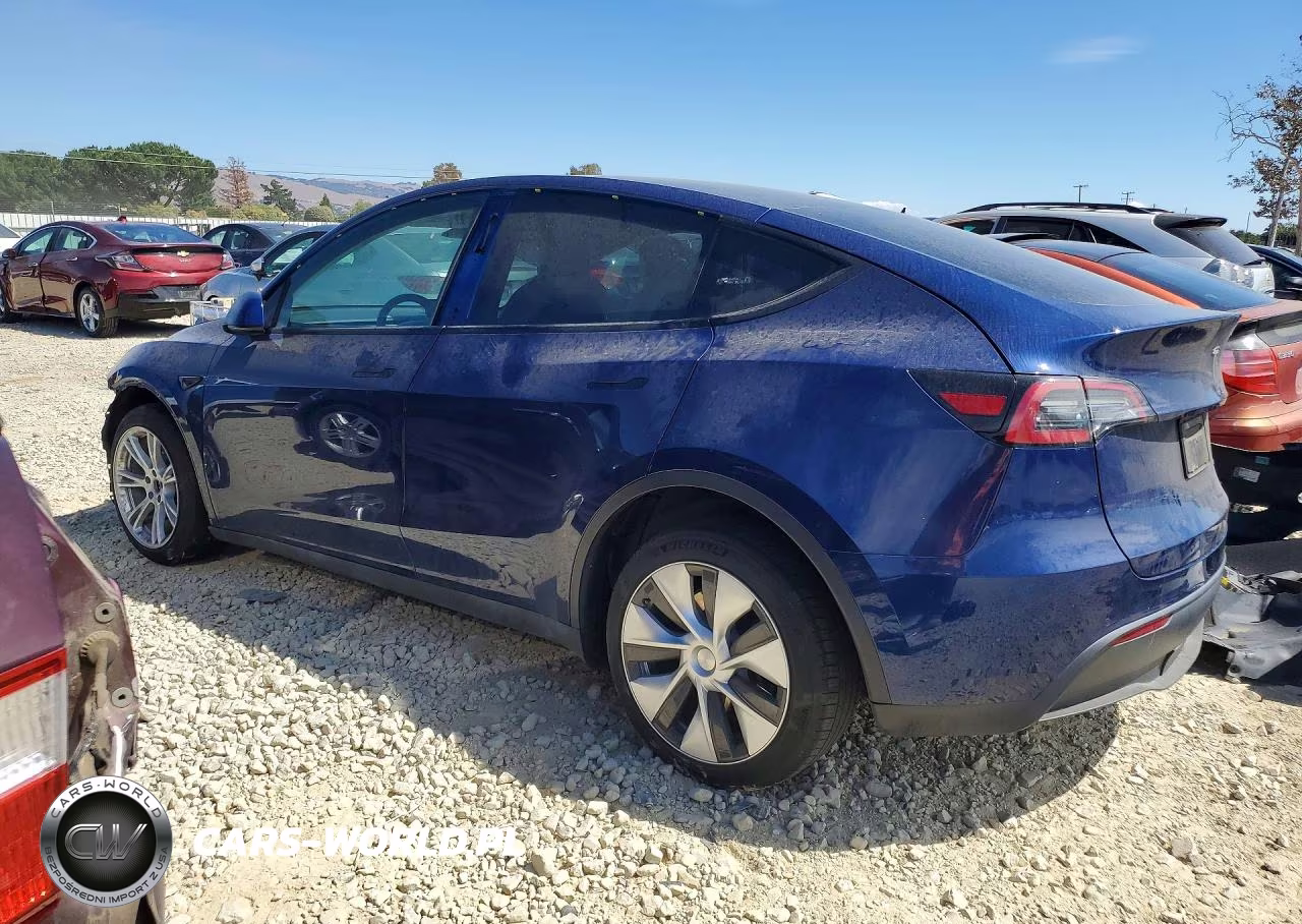 2022 Tesla Model Y VIN:7SAYGAEE3NF493127 - 2