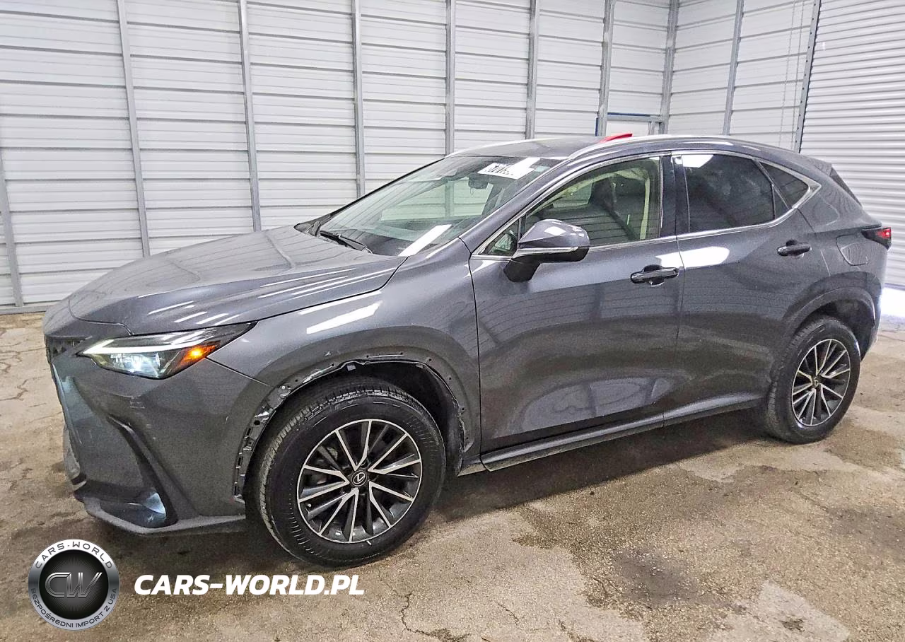 2023 Lexus Nx 250 VIN:JTJADCAZ8P5013130 - 1