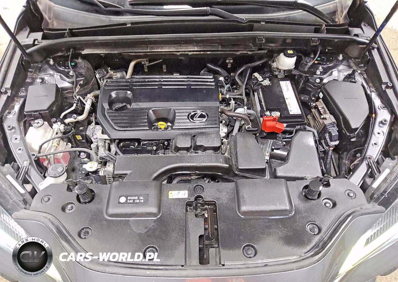 2023 Lexus Nx 250 VIN:JTJADCAZ8P5013130 - 11