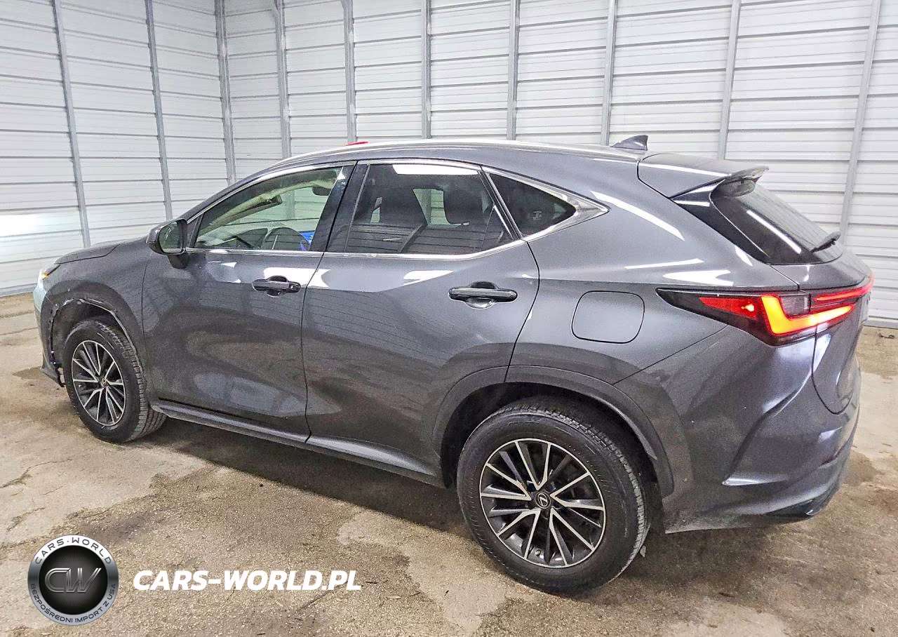2023 Lexus Nx 250 VIN:JTJADCAZ8P5013130 - 2