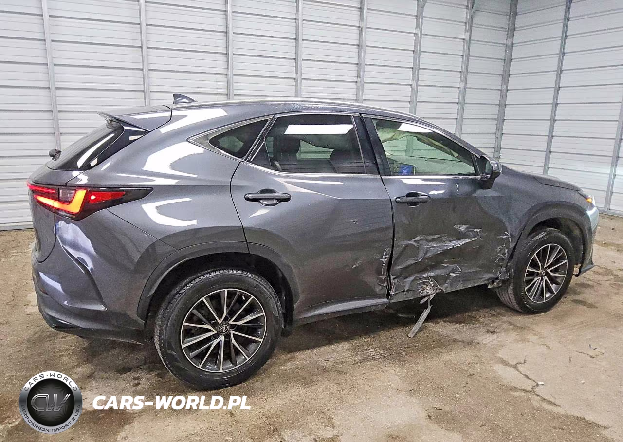 2023 Lexus Nx 250 VIN:JTJADCAZ8P5013130 - 3