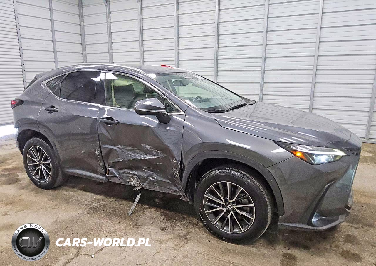 2023 Lexus Nx 250 VIN:JTJADCAZ8P5013130 - 4