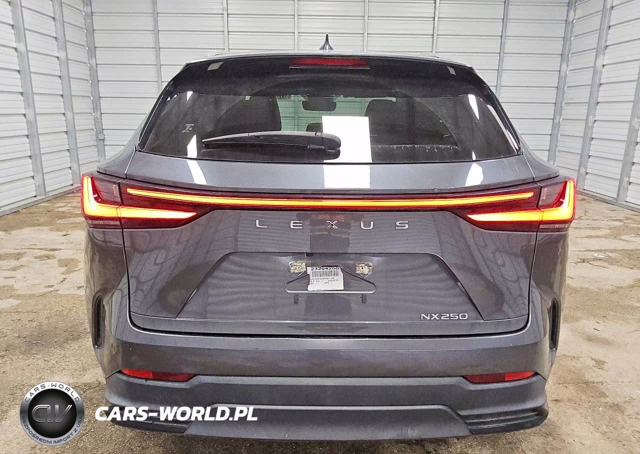 2023 Lexus Nx 250 VIN:JTJADCAZ8P5013130 - 6