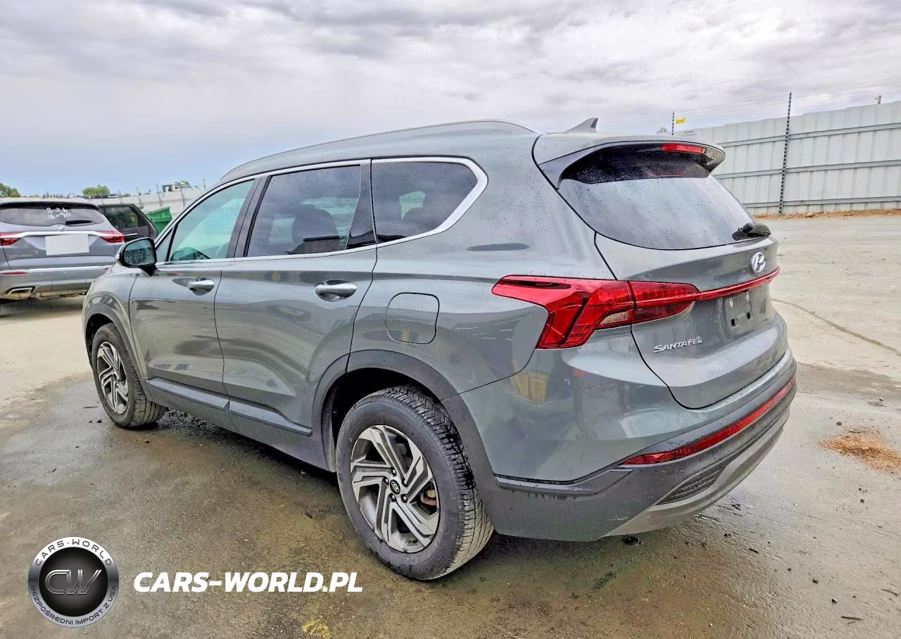 2023 Hyundai Santa Fe Sel VIN:5NMS24AJ0PH563027 - 2