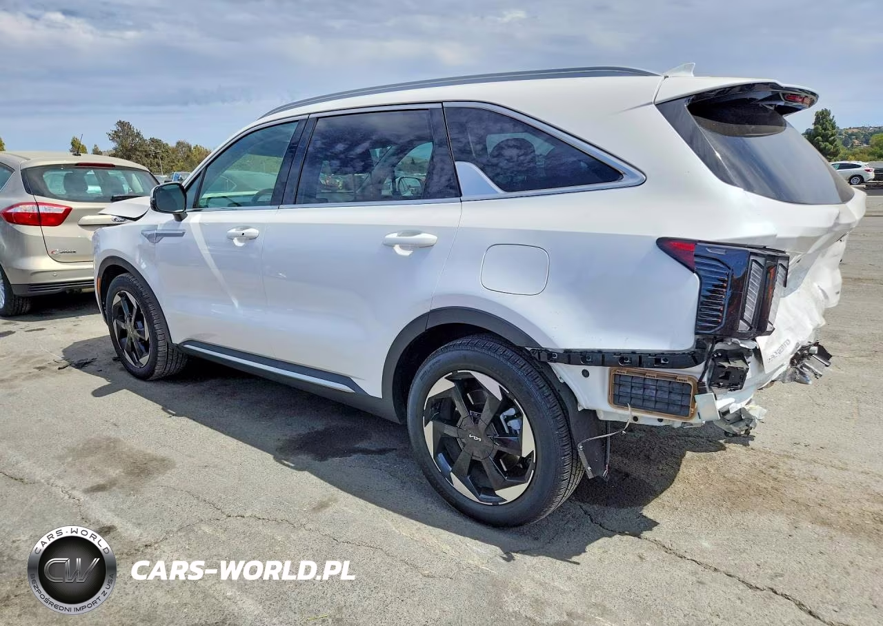 2025 Kia Sorento Ex VIN:KNDRJDJH4S5421435 - 2