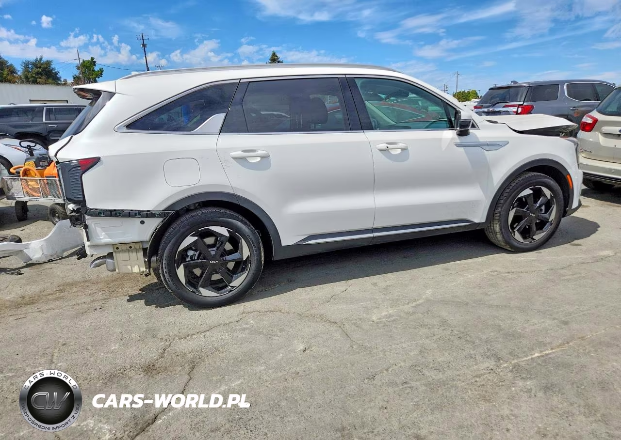 2025 Kia Sorento Ex VIN:KNDRJDJH4S5421435 - 3