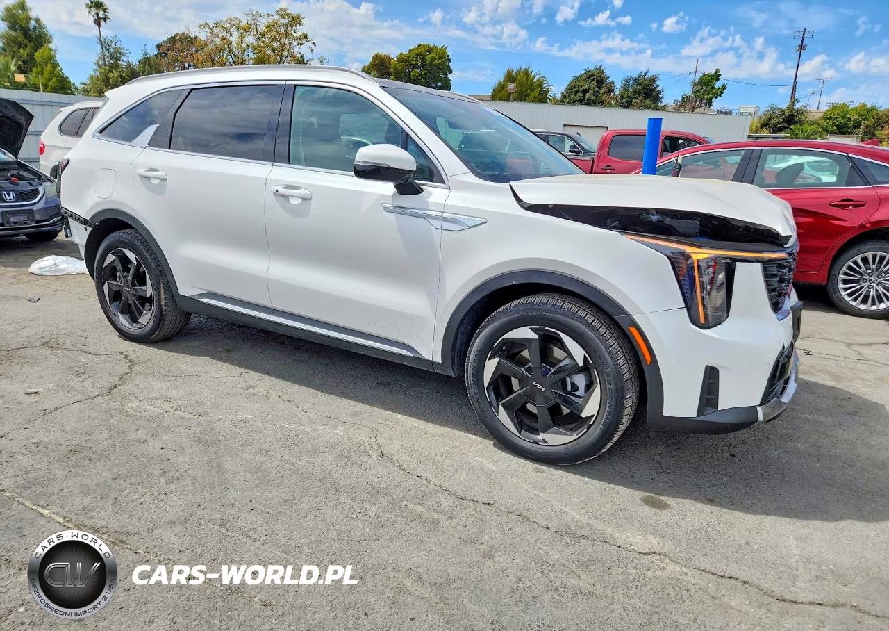2025 Kia Sorento Ex VIN:KNDRJDJH4S5421435 - 4