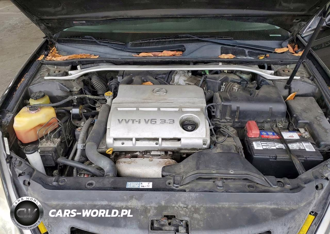 2006 Lexus Es 330 VIN:JTHBA30G965172557 - 11