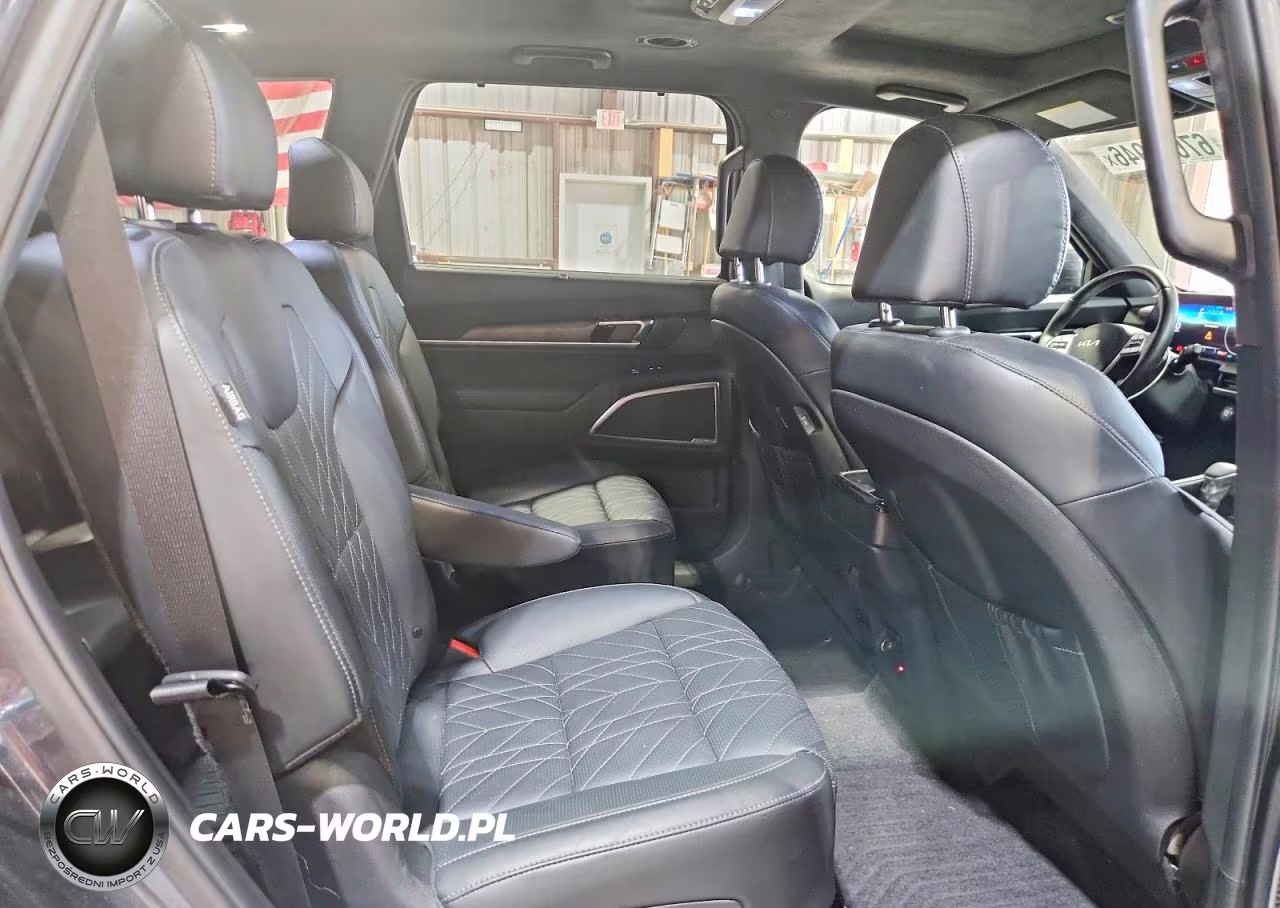 2023 Kia Telluride Sx-Prestige X-Line VIN:5XYP5DGC6PG386242 - 11