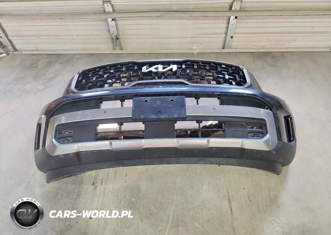 2023 Kia Telluride Sx-Prestige X-Line VIN:5XYP5DGC6PG386242 - 13