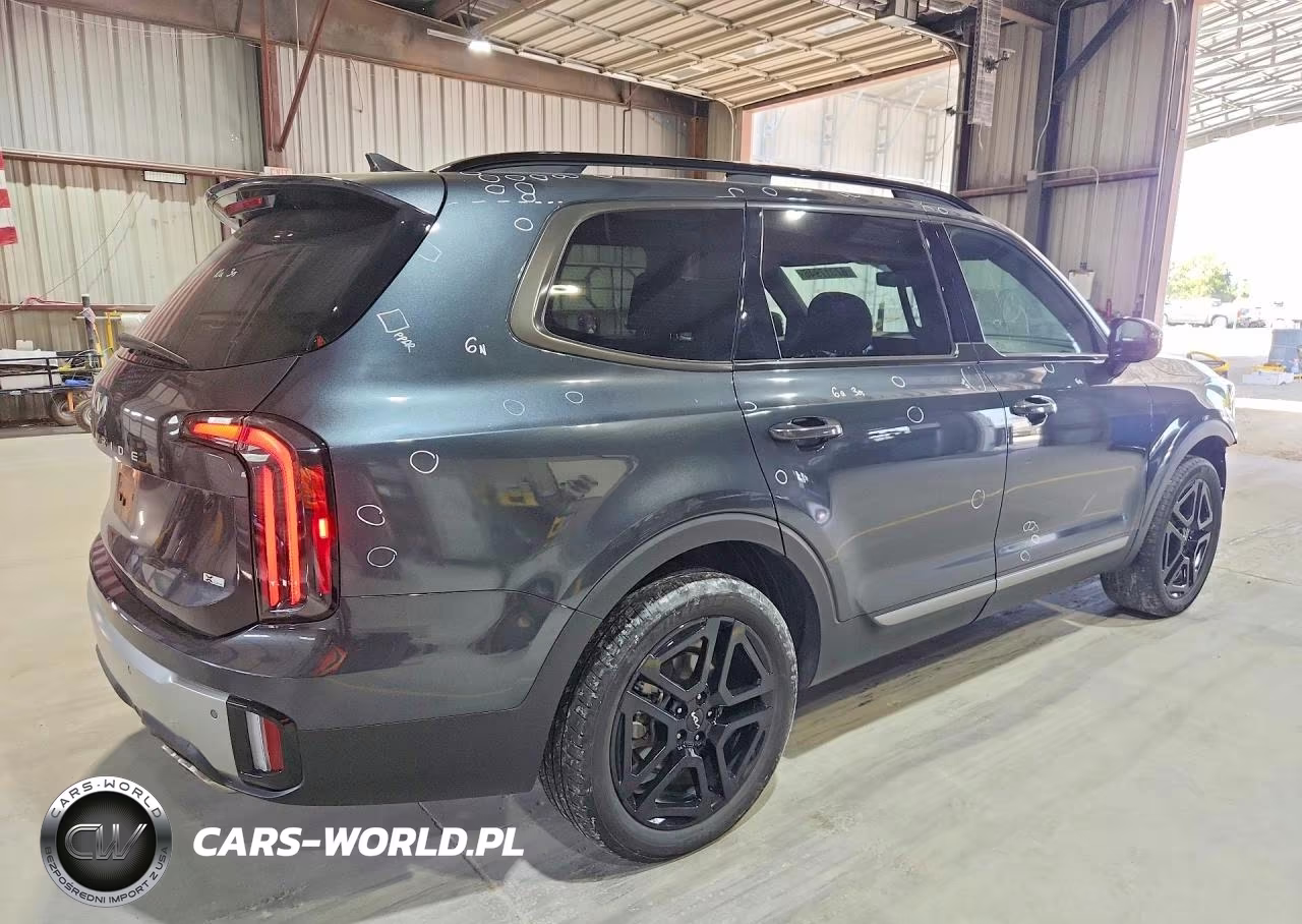 2023 Kia Telluride Sx-Prestige X-Line VIN:5XYP5DGC6PG386242 - 3