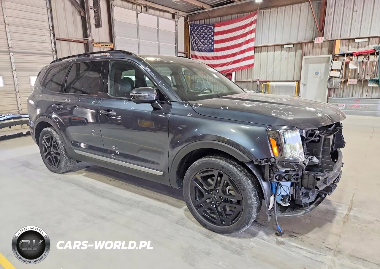 2023 Kia Telluride Sx-Prestige X-Line VIN:5XYP5DGC6PG386242 - 4