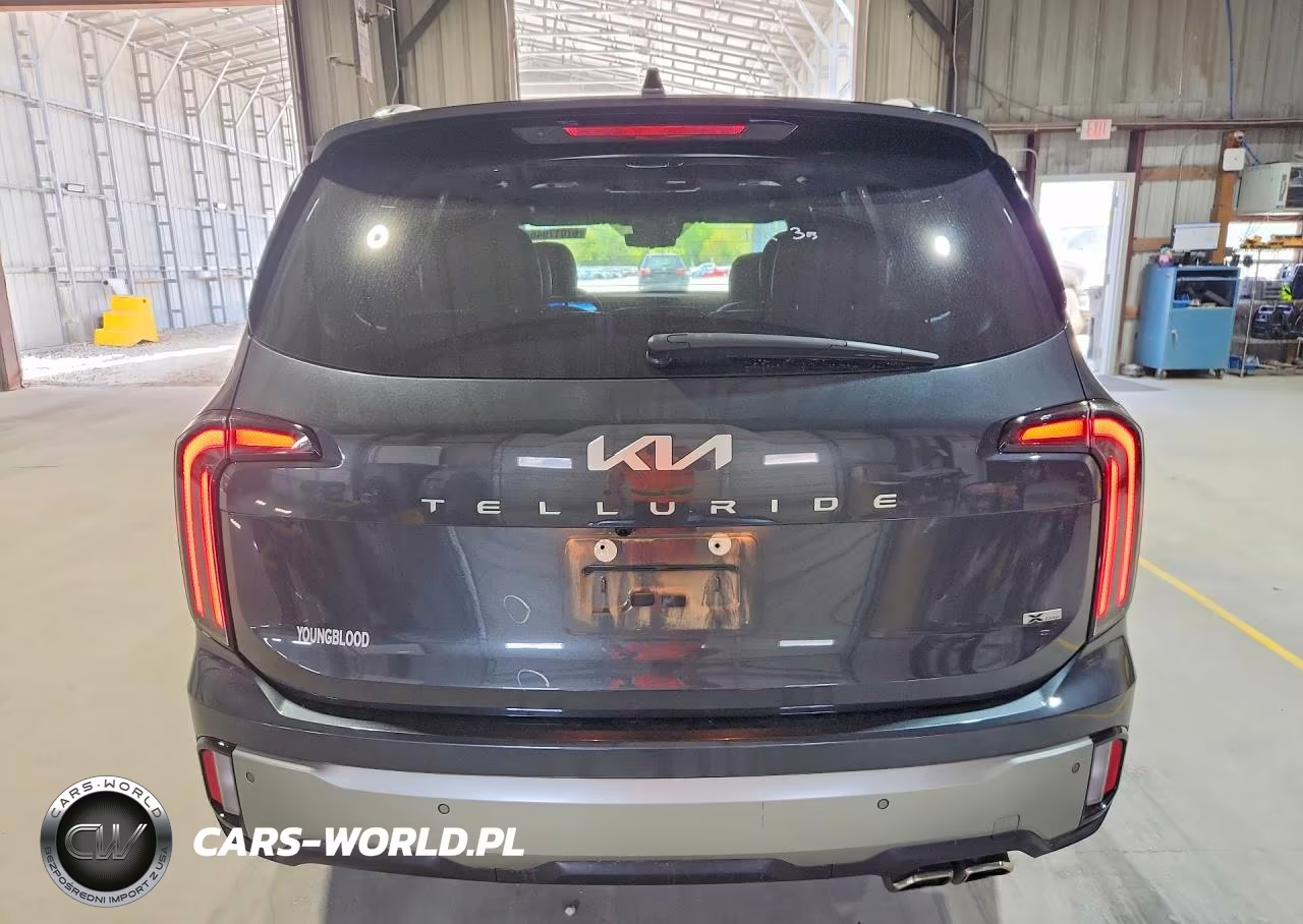 2023 Kia Telluride Sx-Prestige X-Line VIN:5XYP5DGC6PG386242 - 6