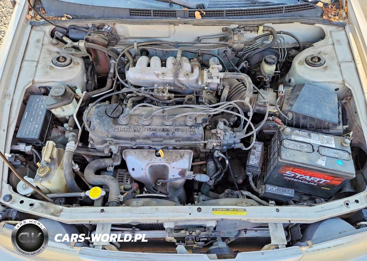 1995 Nissan Sentra Base VIN:1N4AB41D7SC738795 - 11