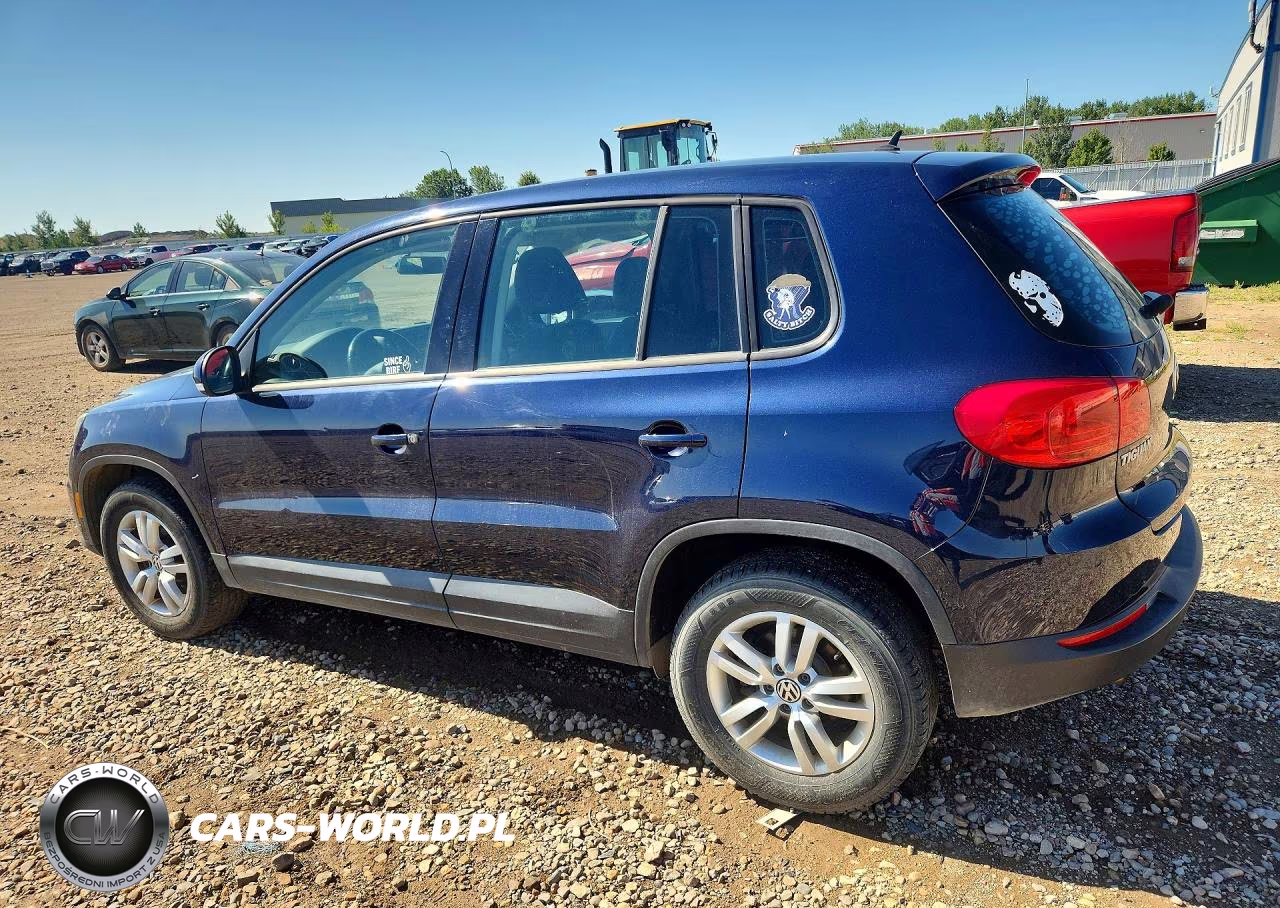 2013 Volkswagen Tiguan S VIN:WVGBV7AX5DW535516 - 2