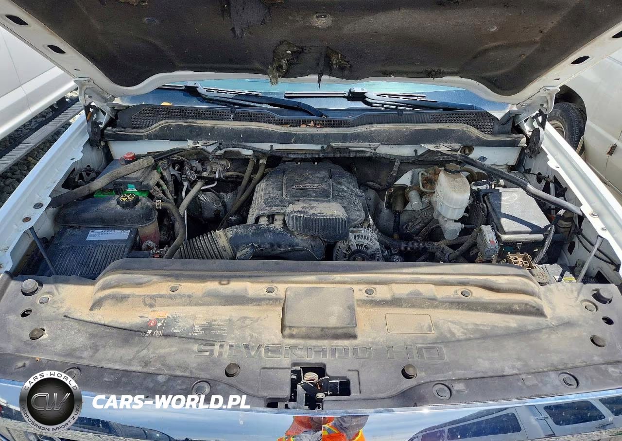 2019 Chevrolet Silverado K2500 Heavy Duty VIN:2GC2KREG6K1243929 - 11
