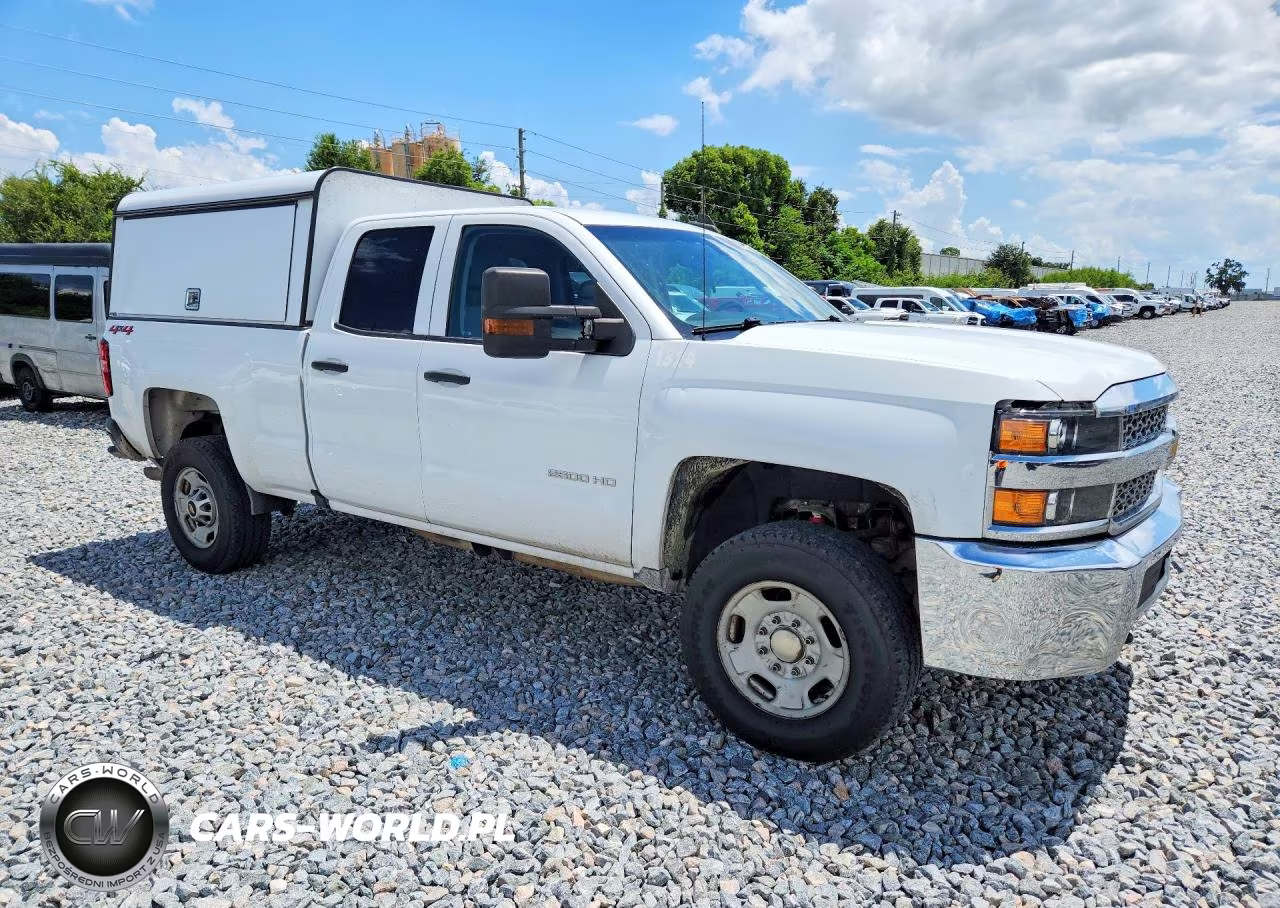 2019 Chevrolet Silverado K2500 Heavy Duty VIN:2GC2KREG6K1243929 - 4
