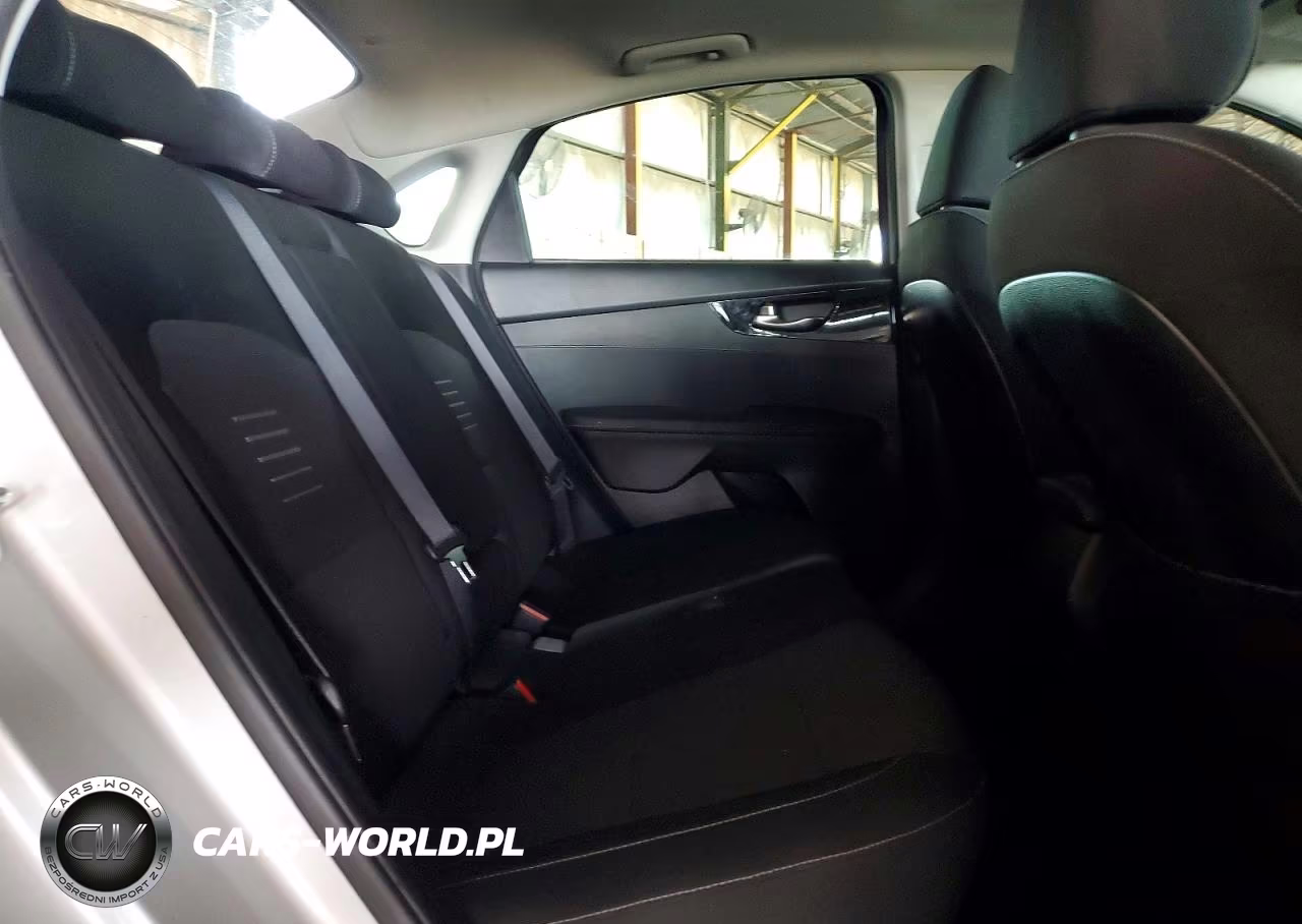 2019 Kia Forte S VIN:3KPF34AD0KE023542 - 10