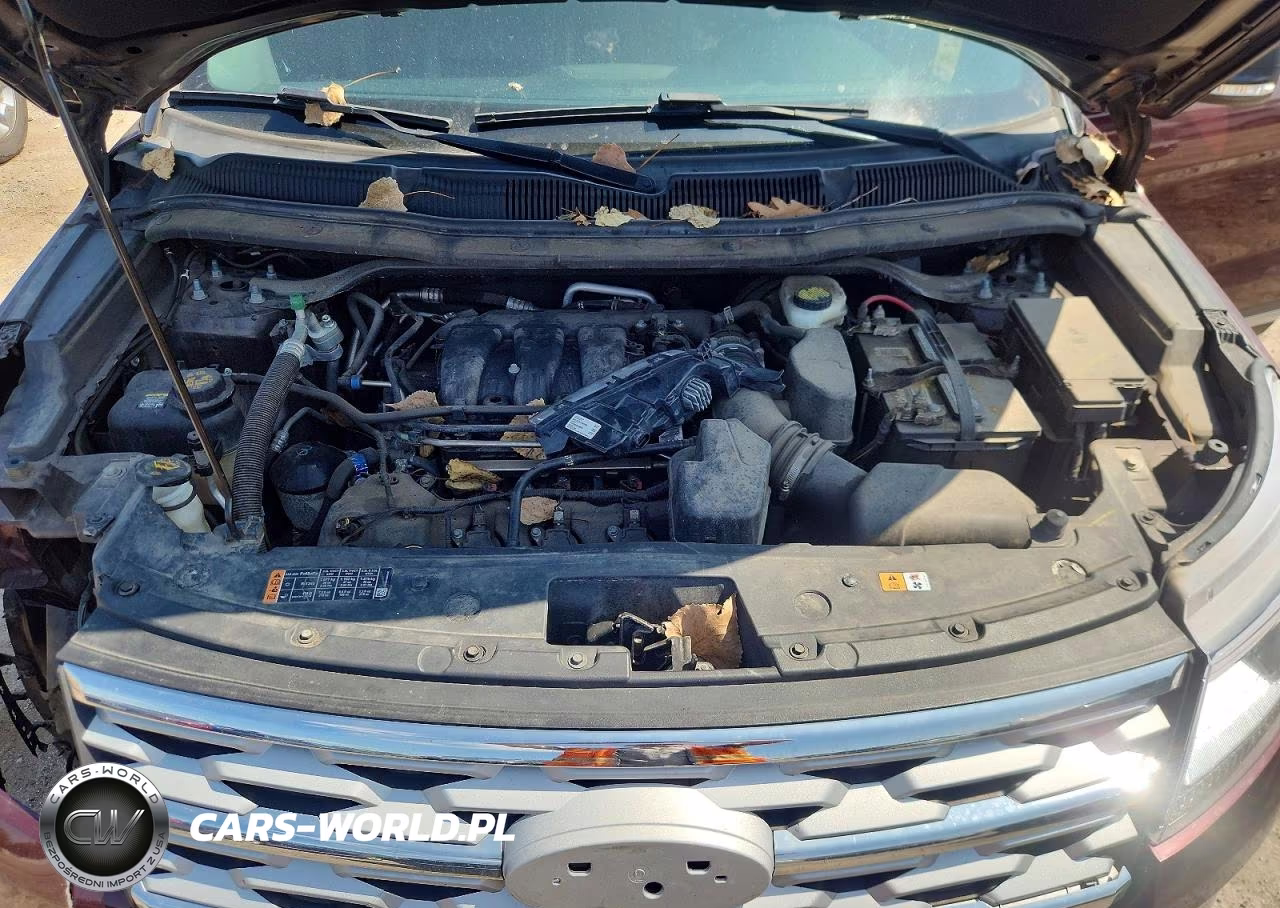 2019 Ford Explorer Xlt VIN:1FM5K8D82KGB21035 - 12