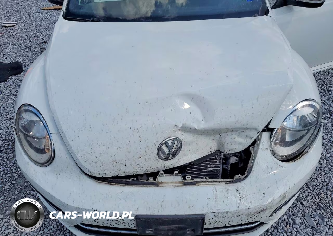 2017 Volkswagen Beetle Se VIN:3VWJ17AT1HM613821 - 11