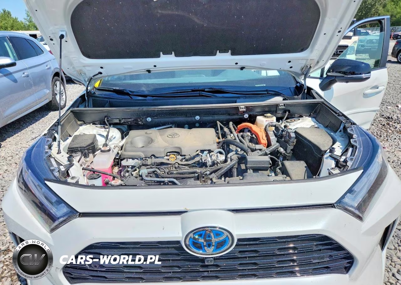 2024 Toyota Rav4 Xse VIN:2T3E6RFV3RW076574 - 11
