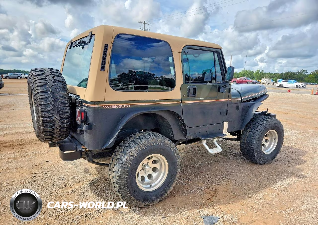 1995 Jeep Wrangler - Yj Sahara VIN:1J4FY49SXSP256083 - 3