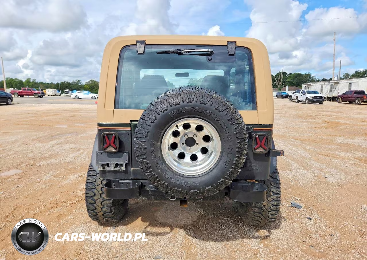 1995 Jeep Wrangler - Yj Sahara VIN:1J4FY49SXSP256083 - 6