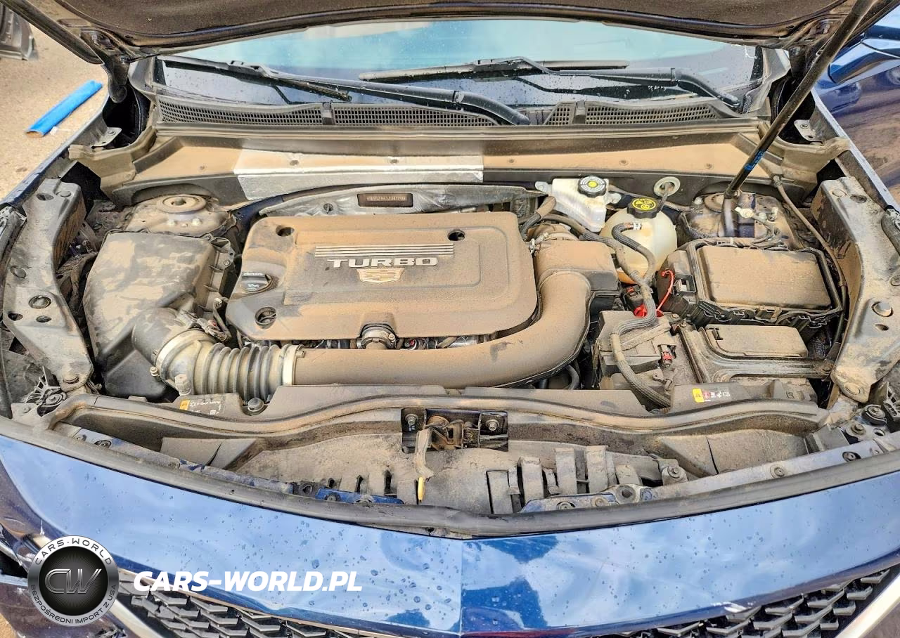 2020 Cadillac Xt4 Sport VIN:1GYFZFR41LF081398 - 11