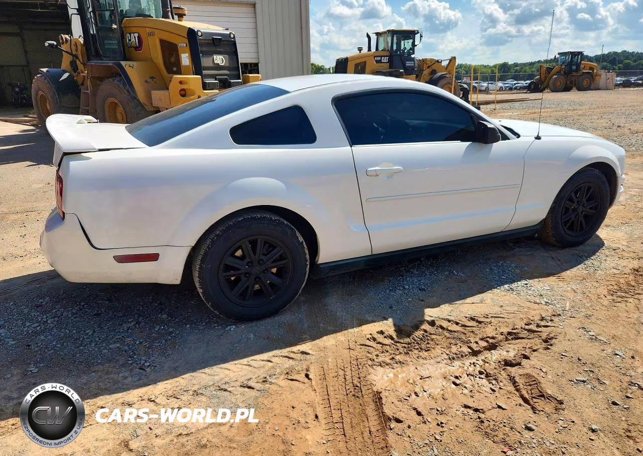 2005 Ford Mustang VIN:1ZVFT80N055154758 - 3