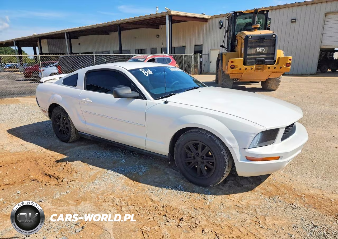 2005 Ford Mustang VIN:1ZVFT80N055154758 - 4