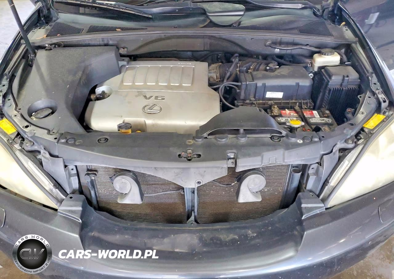 2007 Lexus Rx 350 VIN:2T2HK31U87C018869 - 12