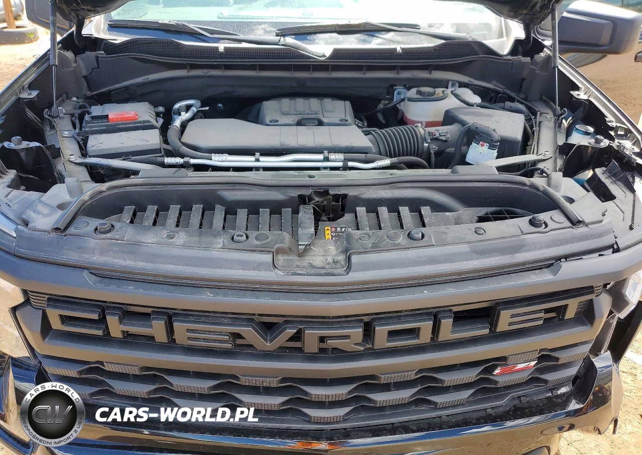 2025 Chevrolet Silverado K1500 Trail Boss Custom VIN:3GCPKCEK4SG332302 - 11