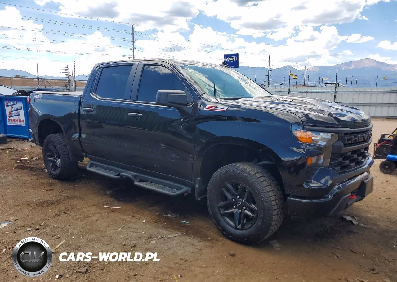 2025 Chevrolet Silverado K1500 Trail Boss Custom VIN:3GCPKCEK4SG332302 - 4