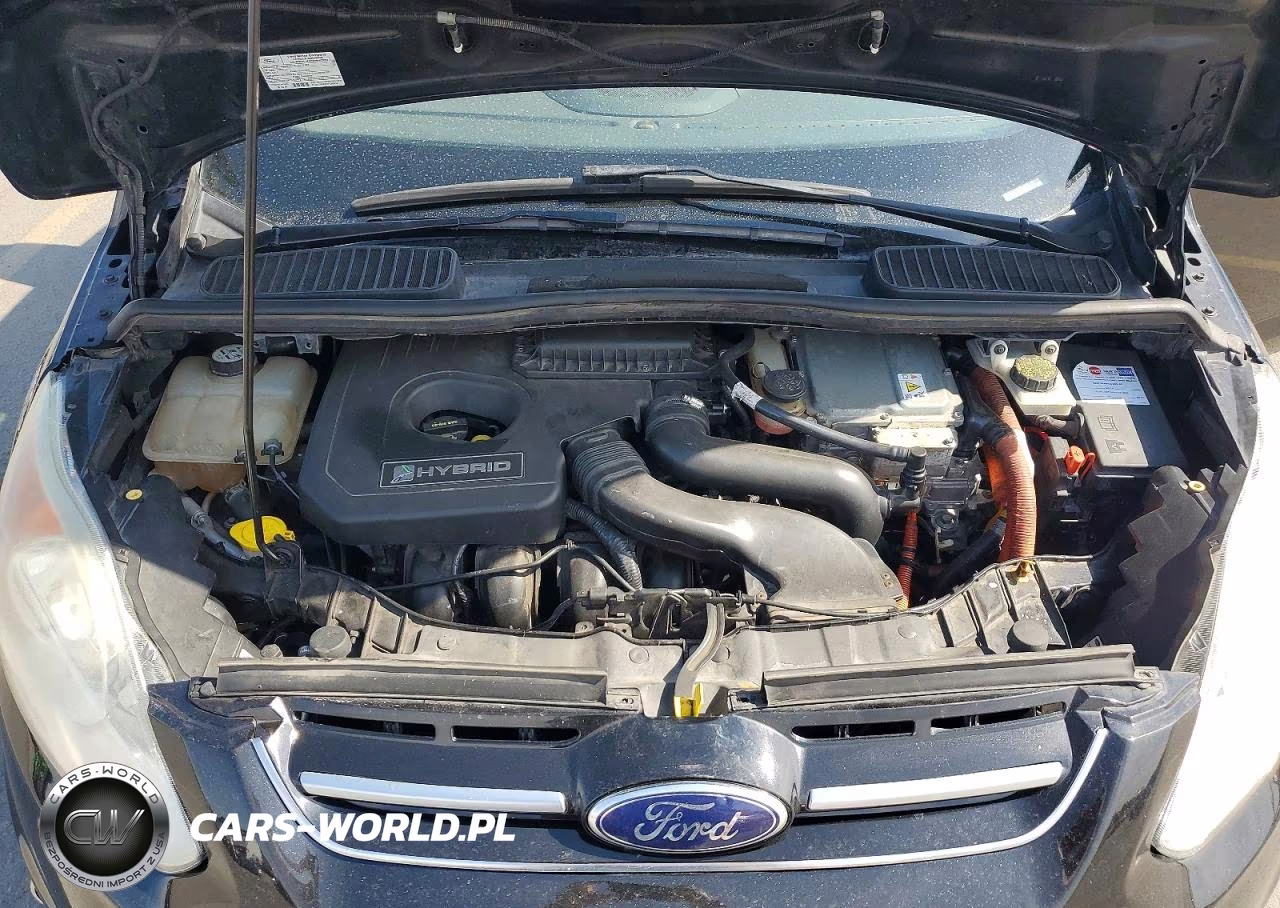 2013 Ford C-Max Sel VIN:1FADP5BU3DL523212 - 12