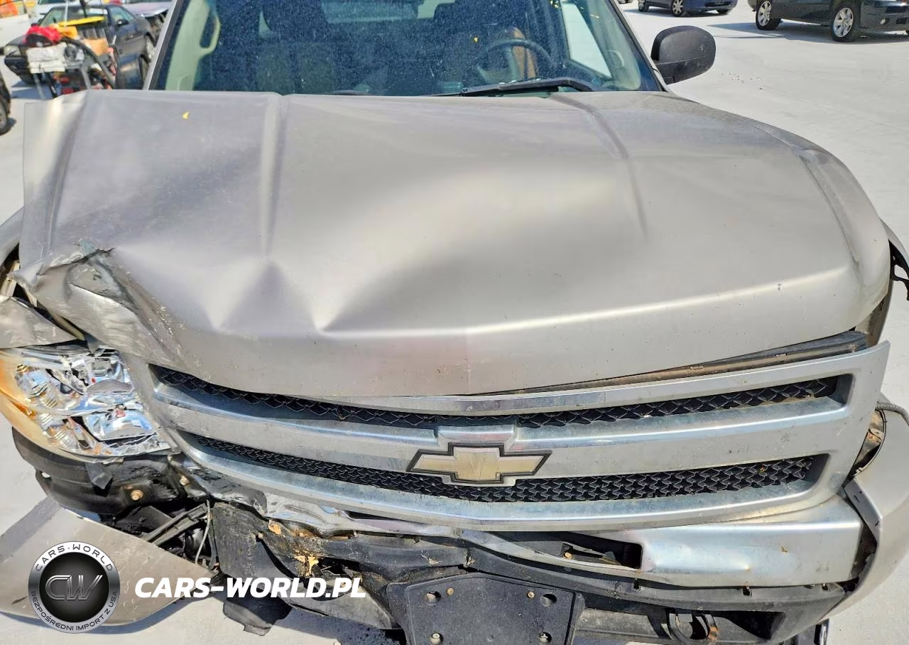 2009 Chevrolet Silverado K1500 VIN:1GCEK19C39Z238341 - 11