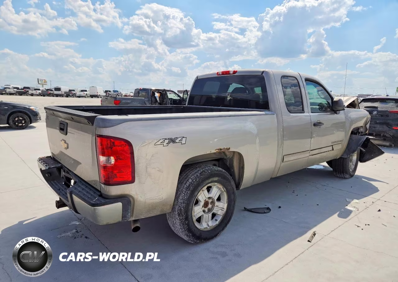 2009 Chevrolet Silverado K1500 VIN:1GCEK19C39Z238341 - 3