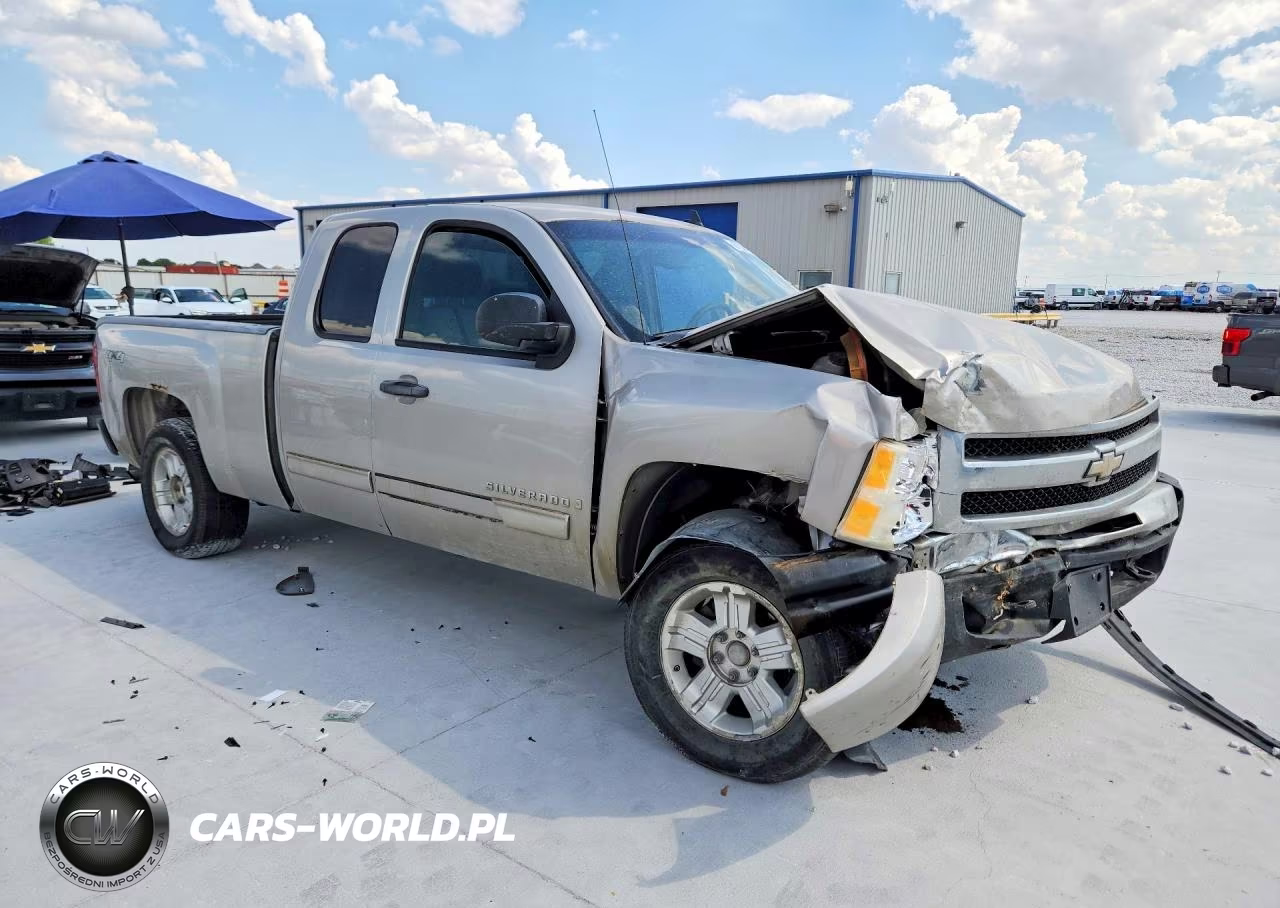 2009 Chevrolet Silverado K1500 VIN:1GCEK19C39Z238341 - 4