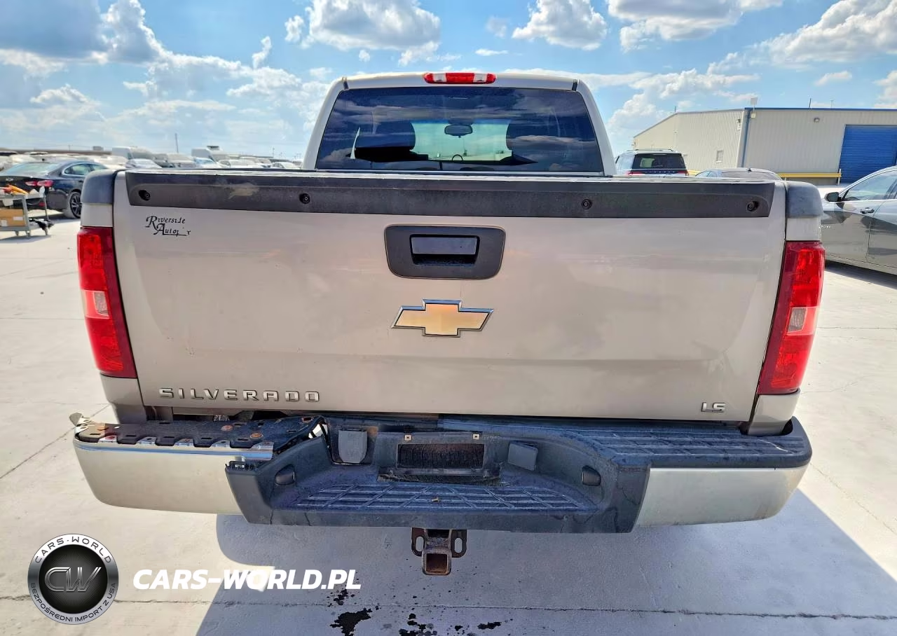2009 Chevrolet Silverado K1500 VIN:1GCEK19C39Z238341 - 6