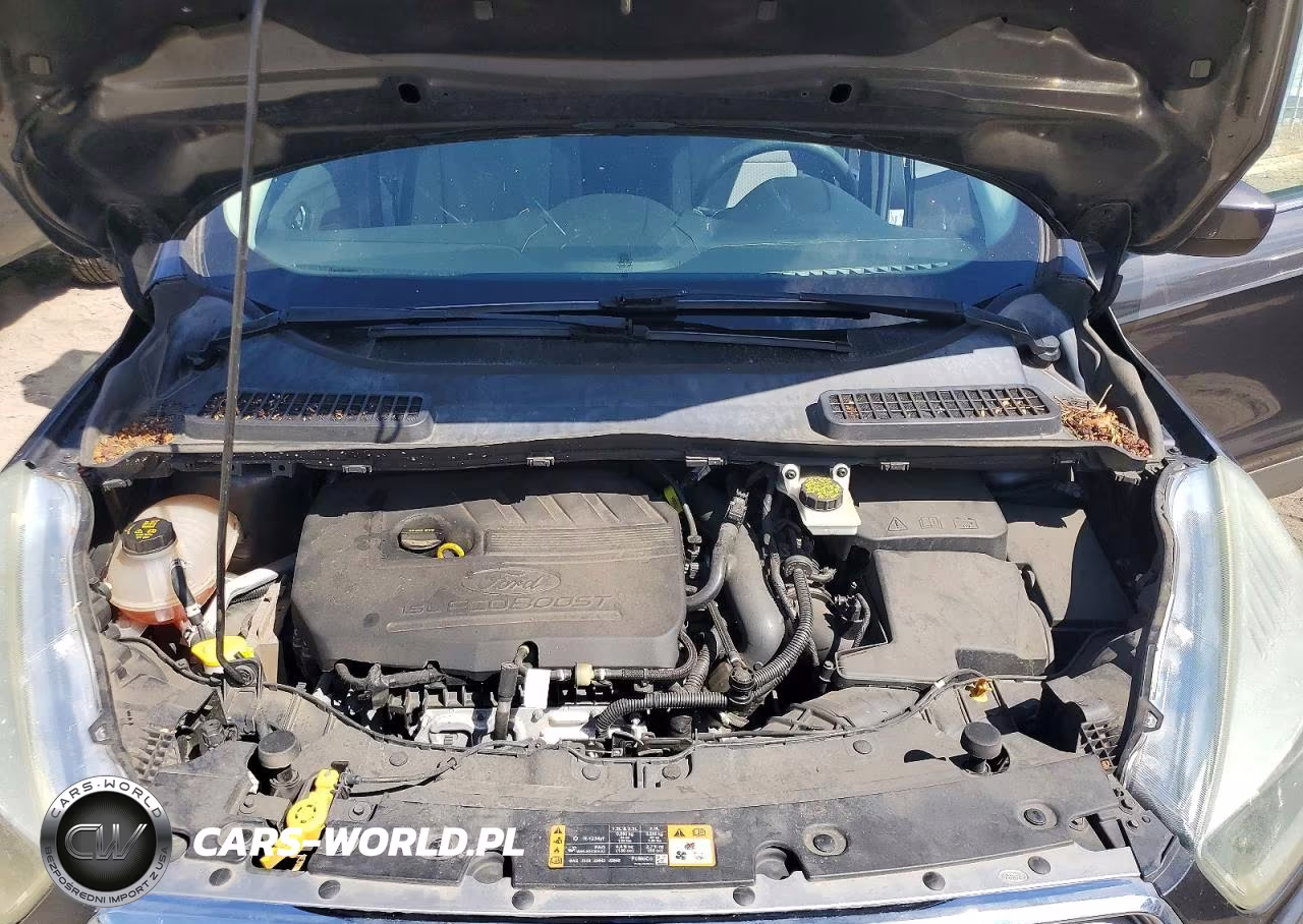 2017 Ford Escape Se VIN:1FMCU0GD8HUC80258 - 12