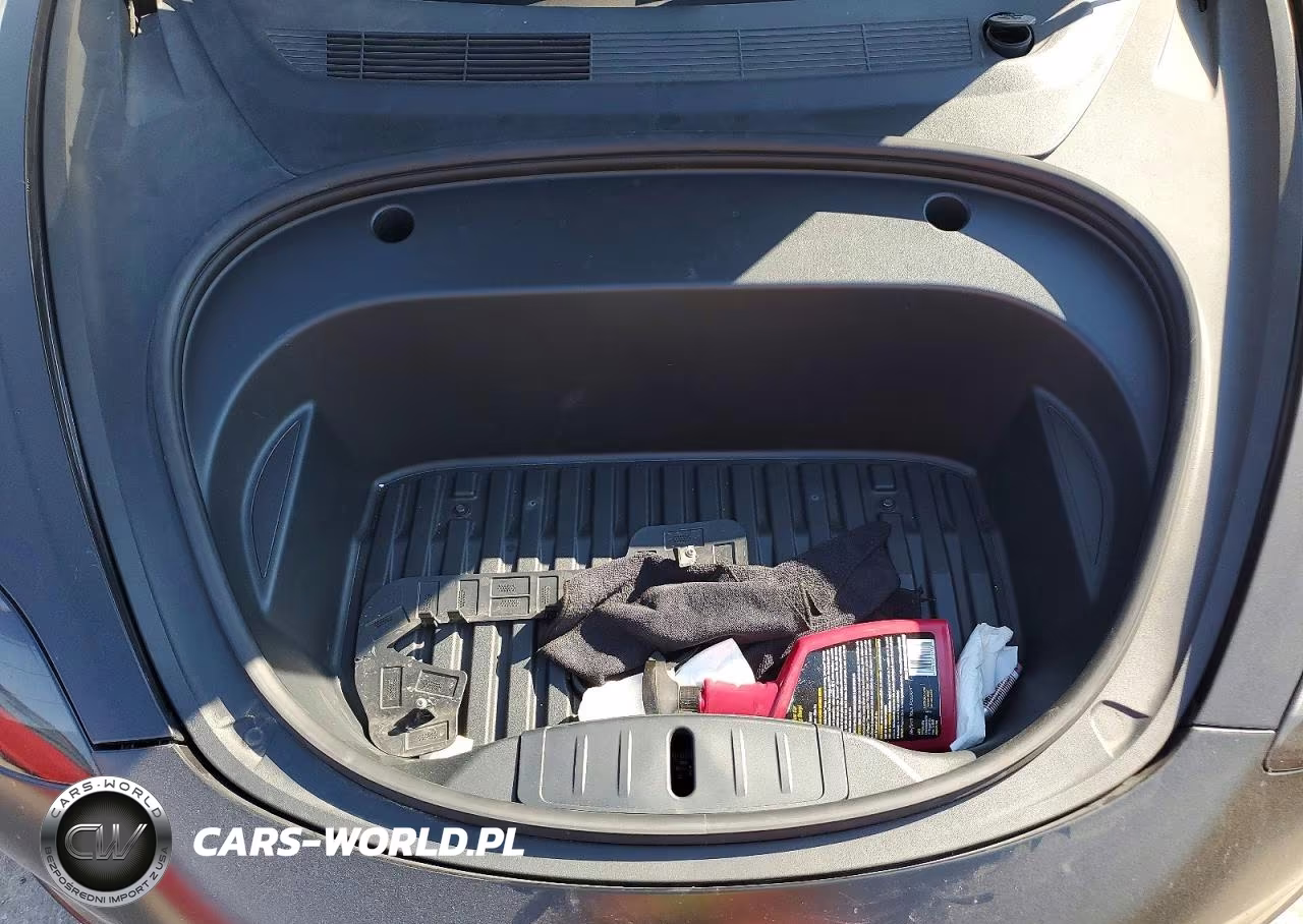 2020 Tesla Model 3 VIN:5YJ3E1EA7LF785595 - 11
