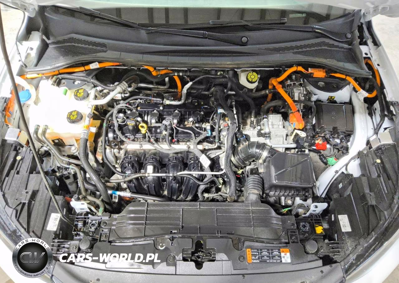 2023 Ford Escape VIN:1FMCU0E11PUB06264 - 12