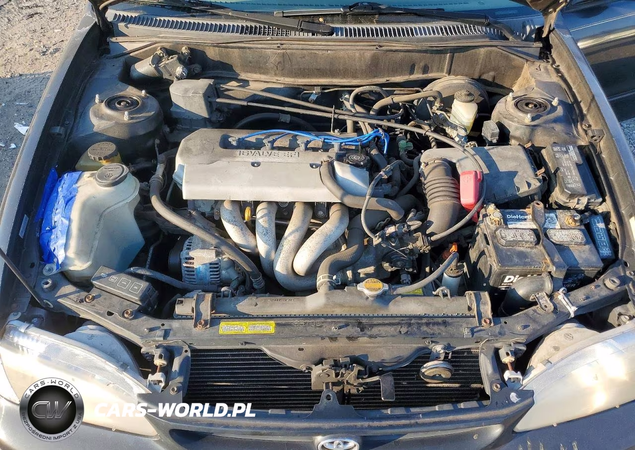 1999 Toyota Corolla Ve VIN:2T1BR12E3XC179020 - 11